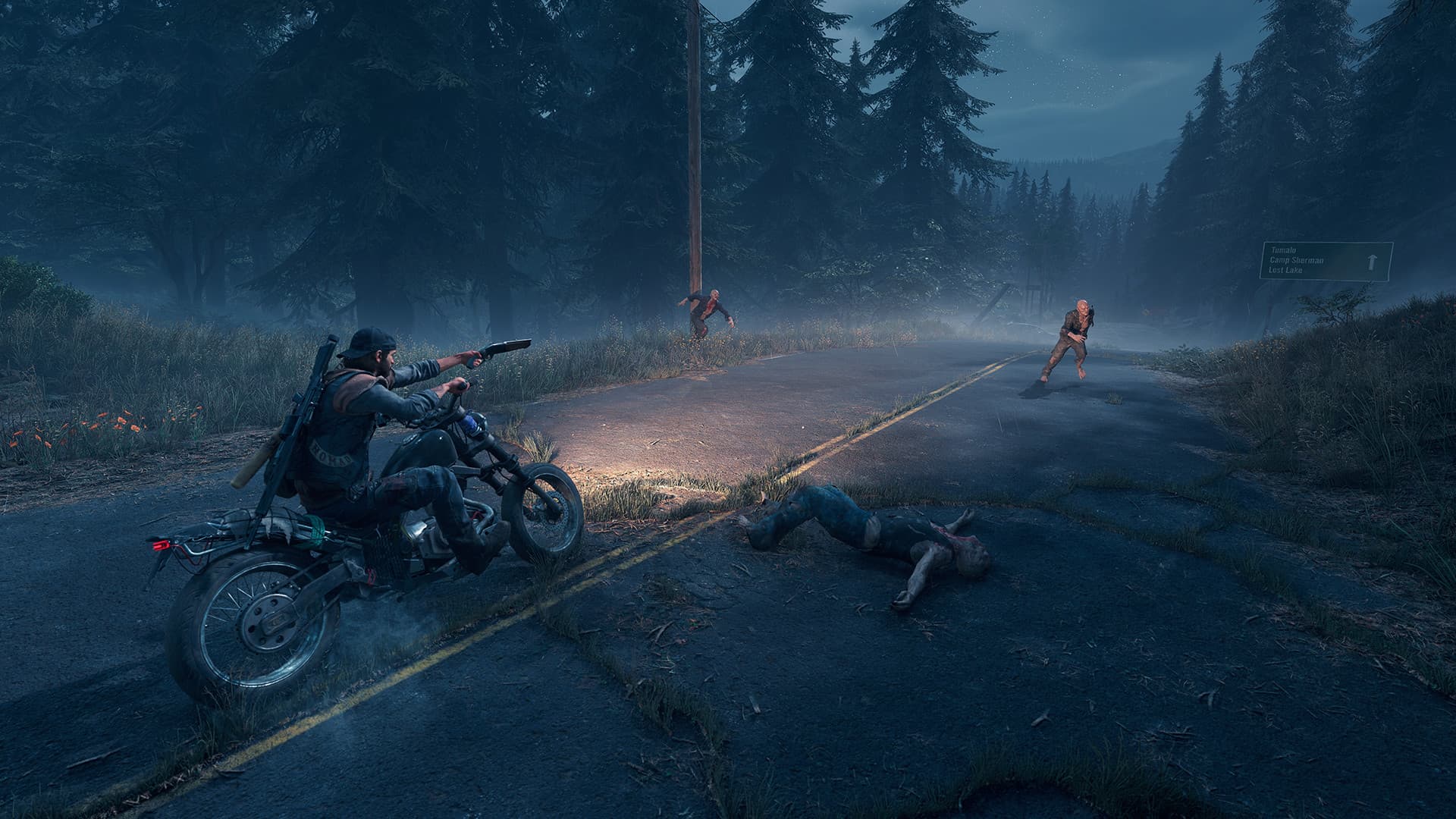 Buy Days Gone PS4 in Mumbai – BlueVault