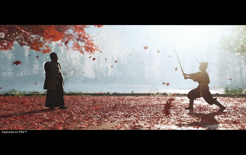 Ghost of Tsushima Director's Cut PS5 gameplay screenshot – BlueVault Mumbai PS5 disc