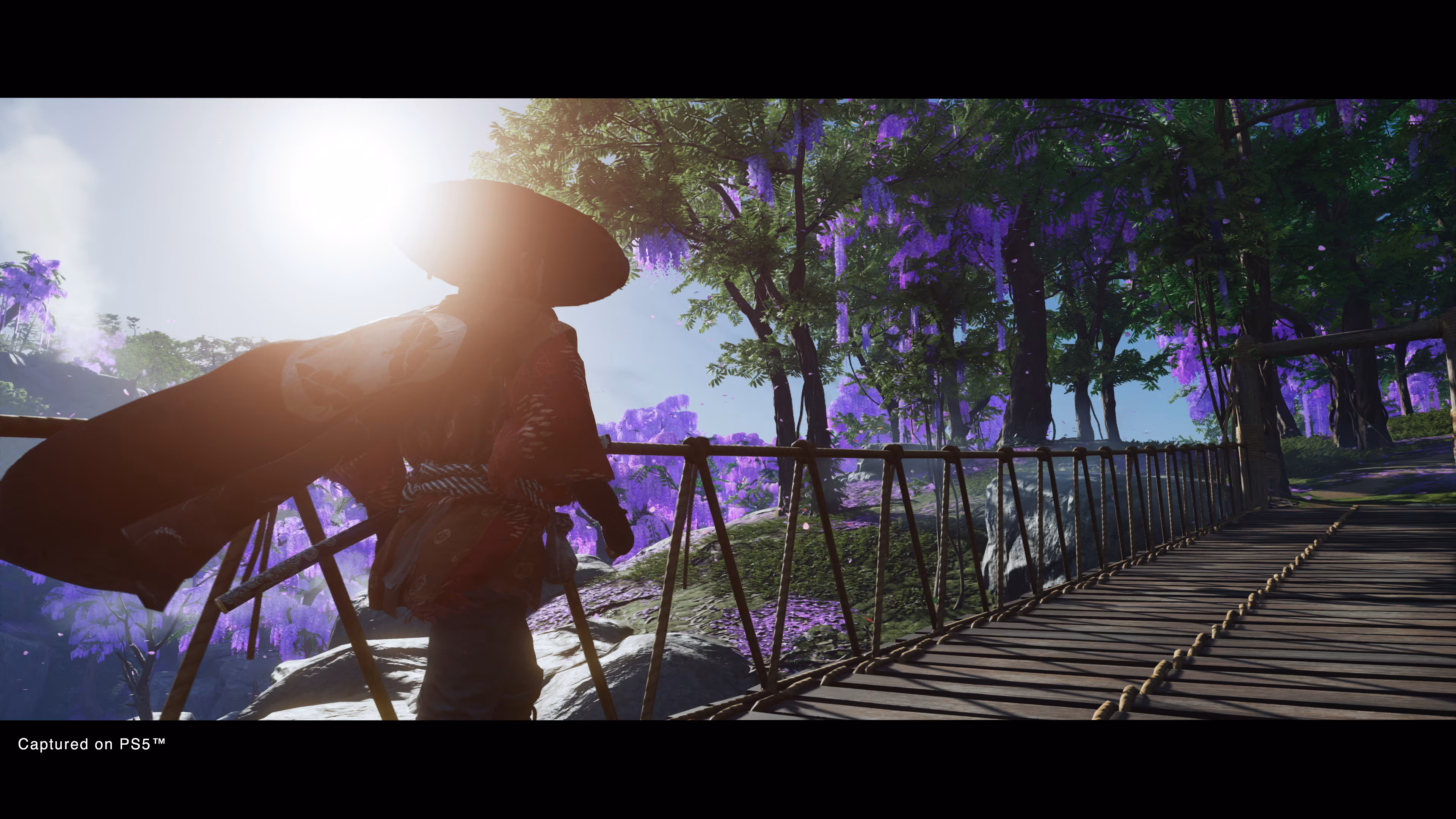 Ghost of Tsushima Director's Cut PS4 gameplay screenshot – BlueVault Mumbai