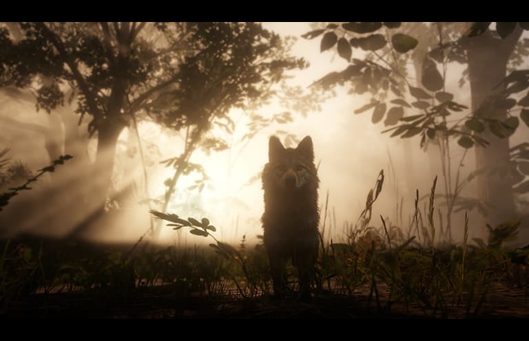 Red Dead Redemption 2 PS4 gameplay screenshot – BlueVault Mumbai PS4 disc