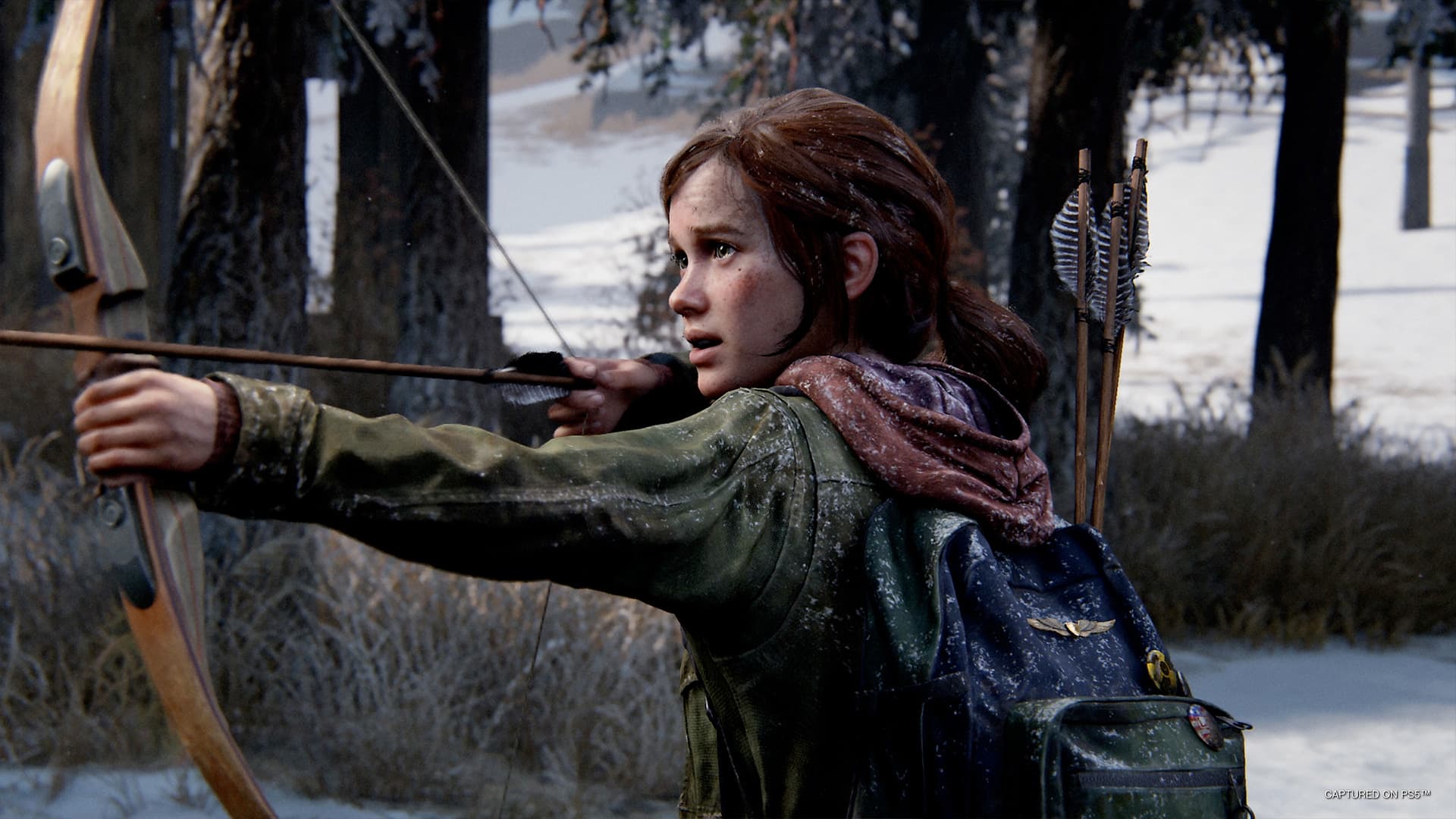 The Last of Us Part I PS5 price in India